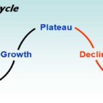Organisational Life Cycle