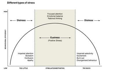 stress relief strategies
